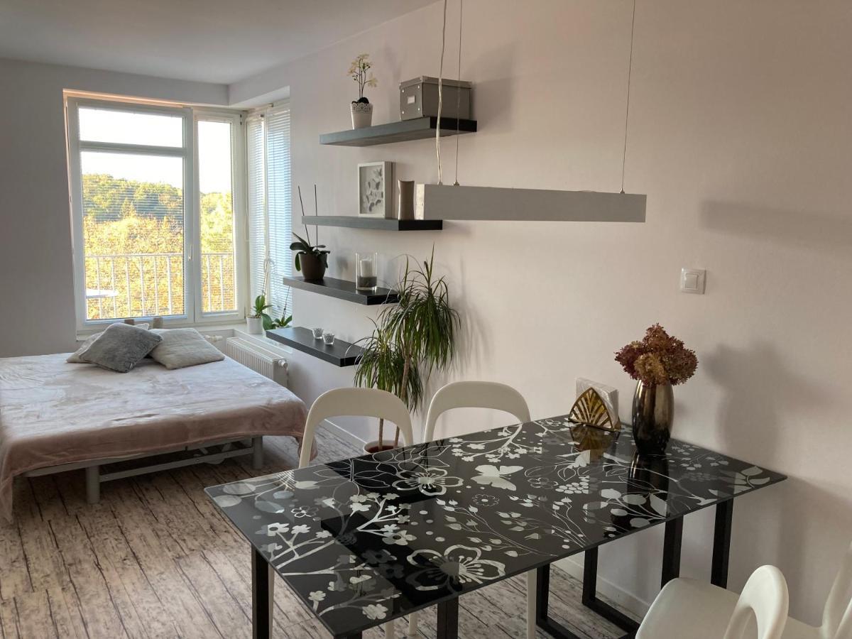 Apartment Husova 波杰布拉迪 外观 照片