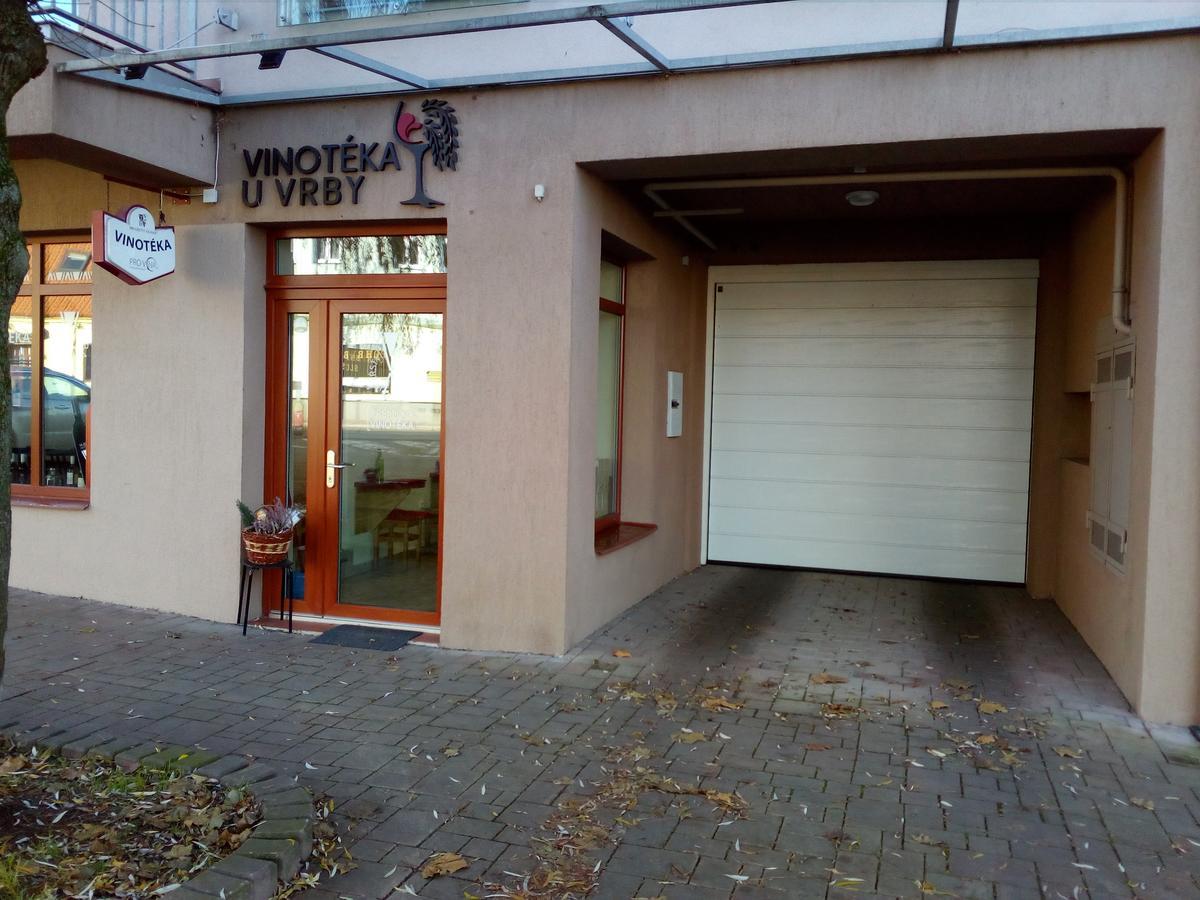 Apartment Husova 波杰布拉迪 外观 照片